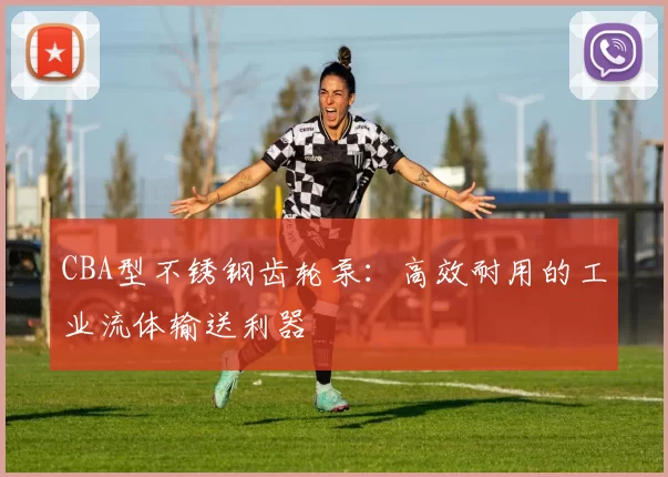 CBA型不锈钢齿轮泵：高效耐用的工业流体输送利器